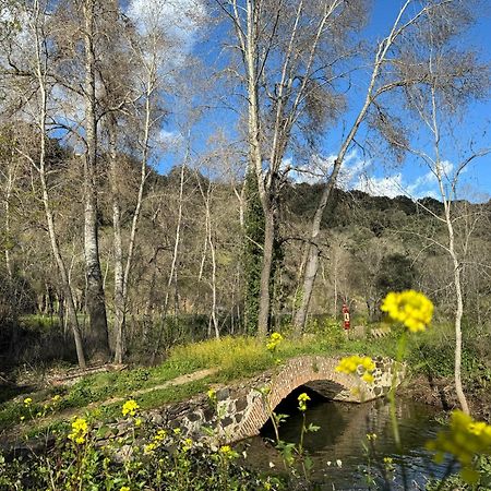 El Patio De Los Naranjos Гуадалупе Екстериор снимка