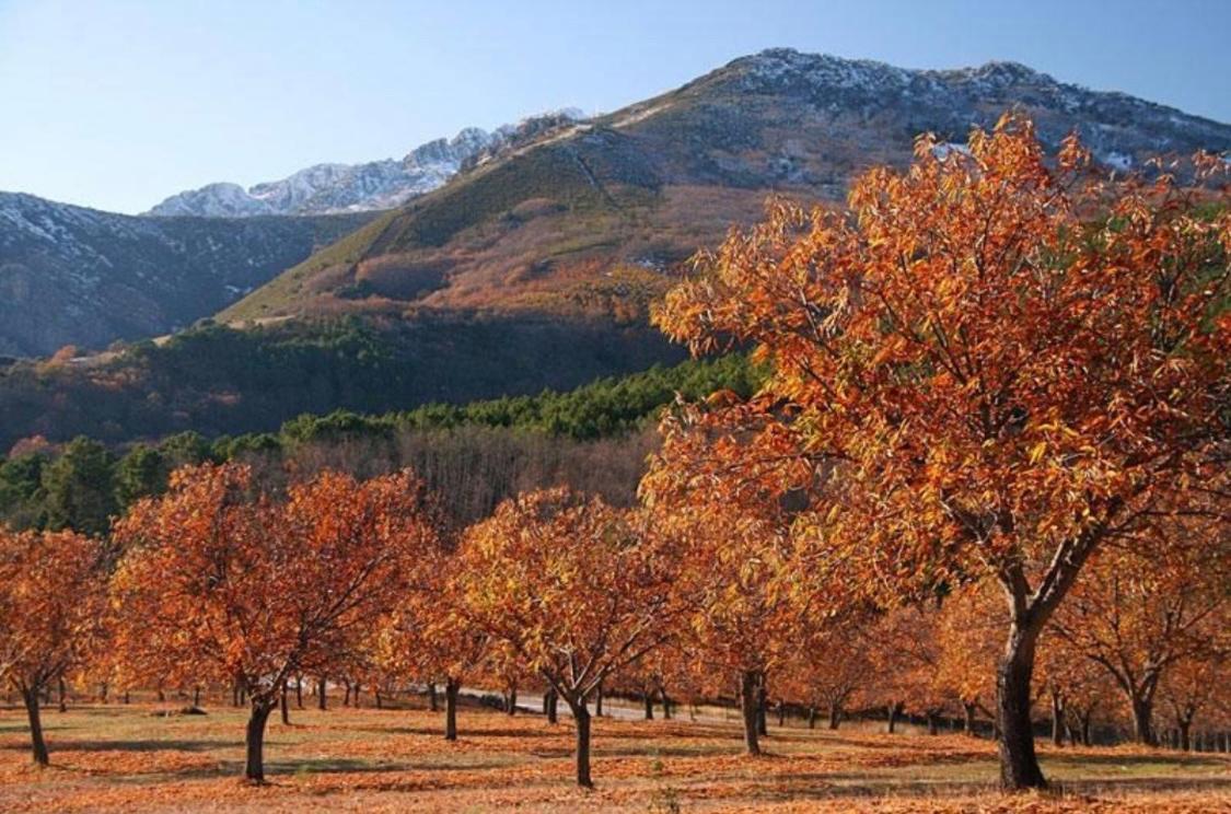 El Patio De Los Naranjos Гуадалупе Екстериор снимка