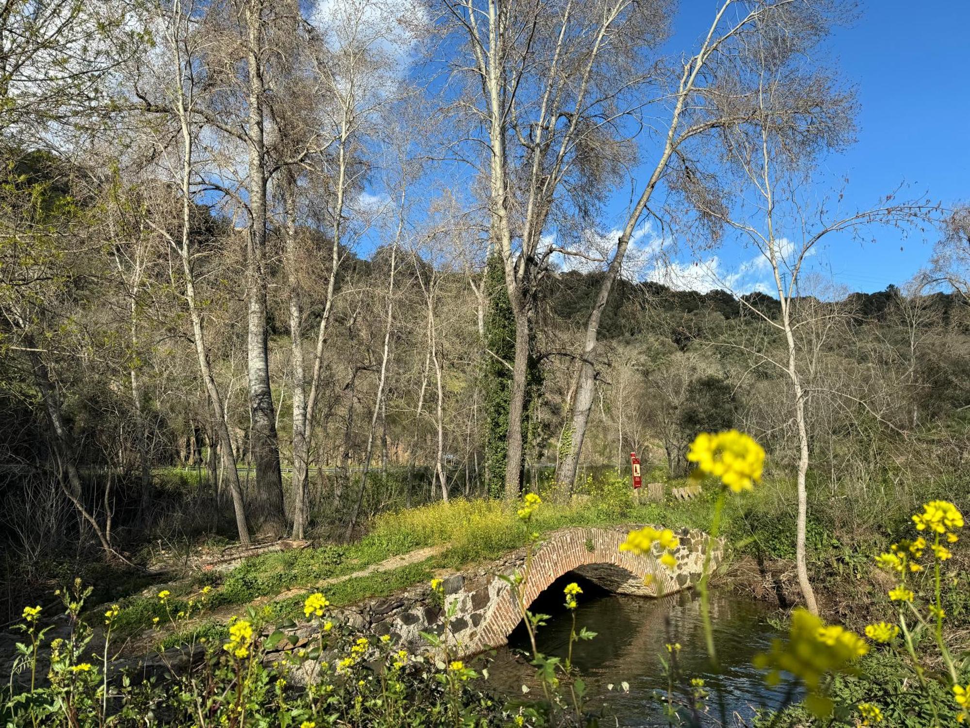 El Patio De Los Naranjos Гуадалупе Екстериор снимка